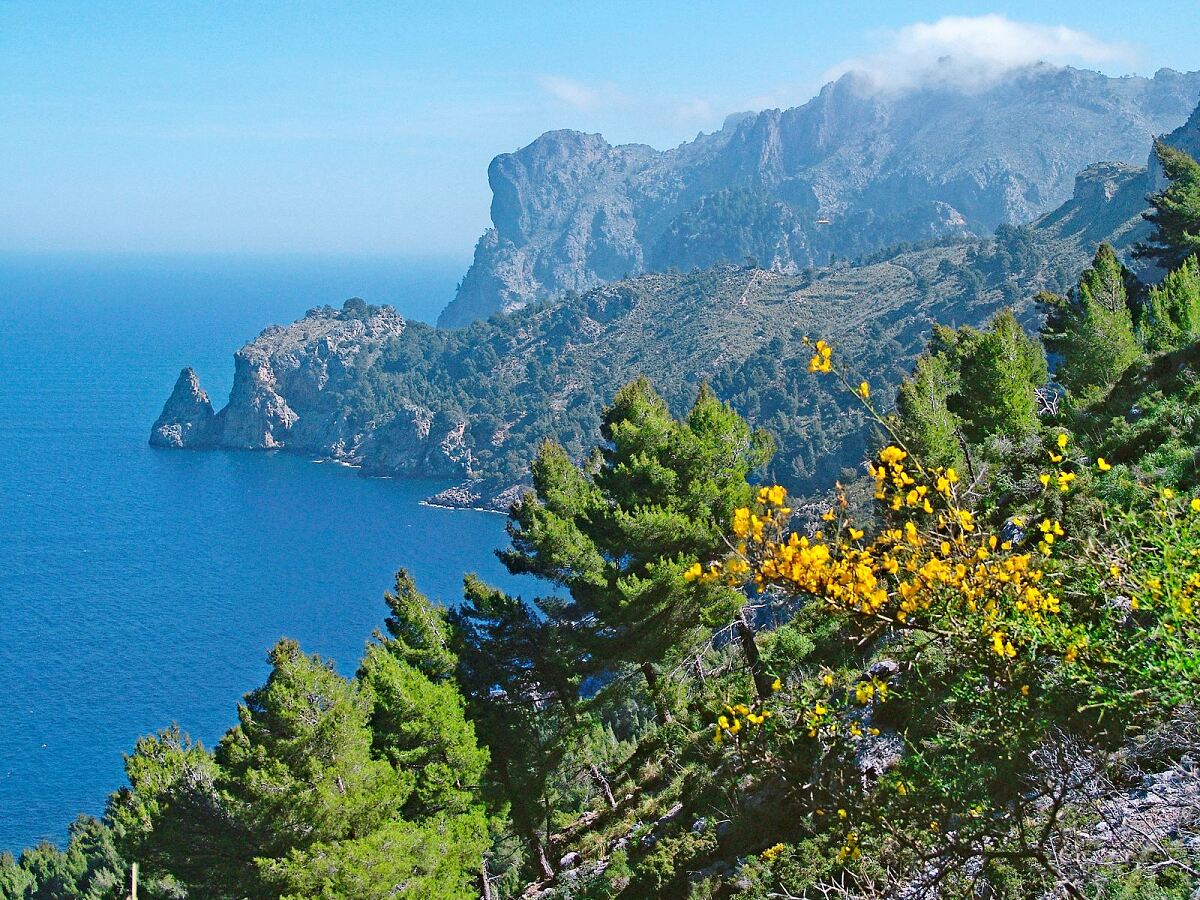 Mallorca verzeichnet hohe Zuwächse