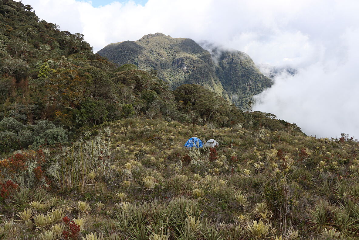 TUI Forest Colombia - forest location
