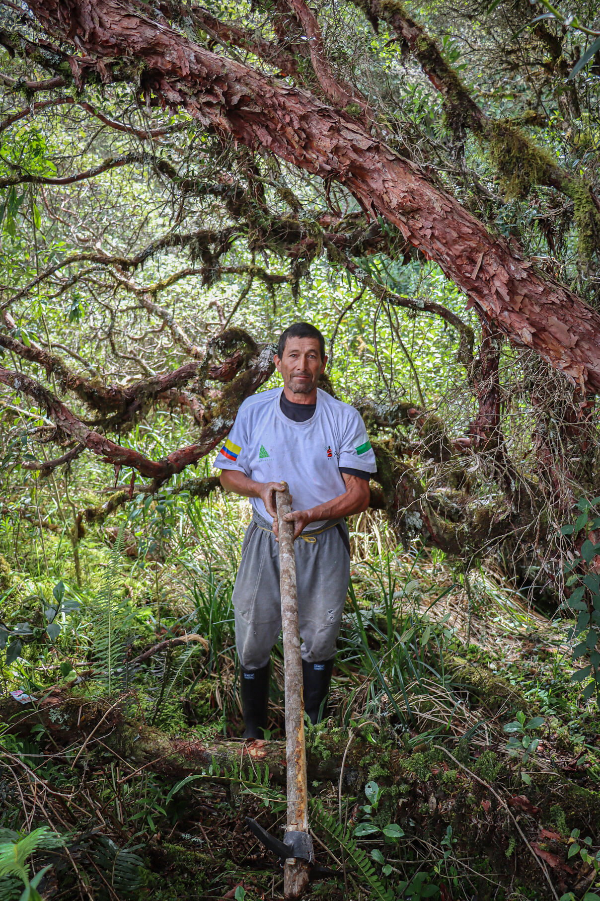 TUI Forest Colombia - planting campaign in the forest