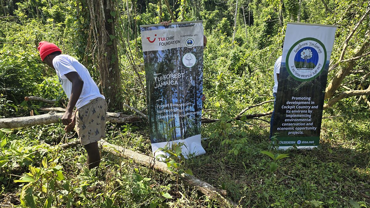 TUI Forest Jamaica - Reinigung von Waldabfällen durch Hurricane Melissa