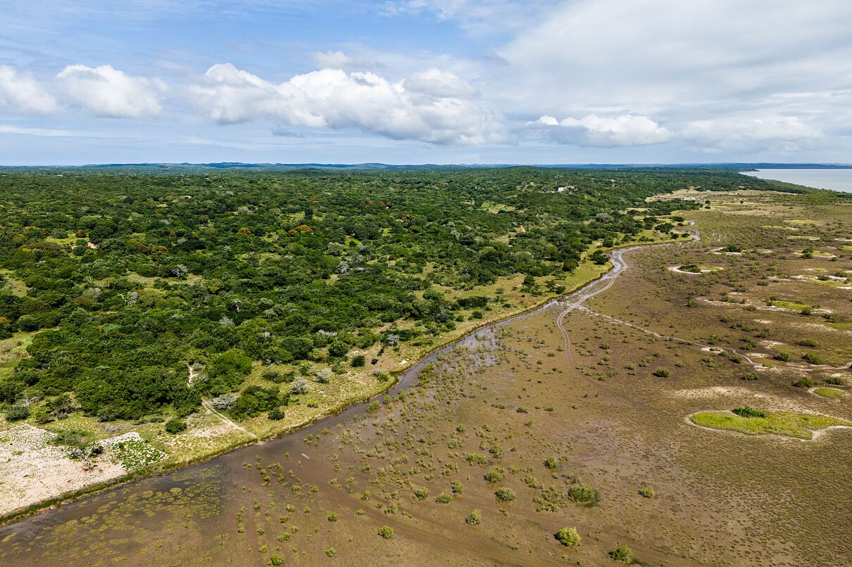 TUI Forest Mozambique - Mangrove conservation area