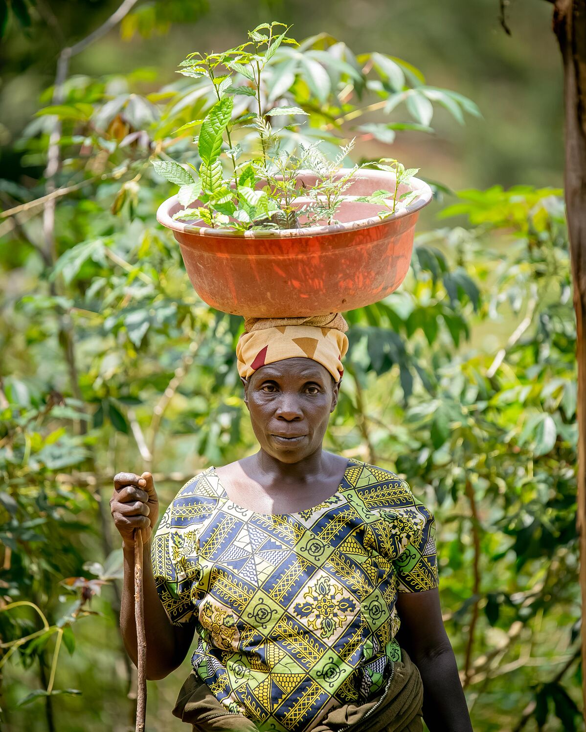 Colourful Cultures Call of the TFRD-SGP -Nature Rwanda, one of the announced beneficiaries