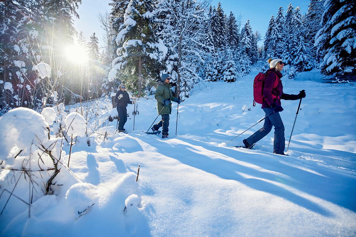 Hotel & Spa Sonnenparadies by Falkensteiner in Südtirol