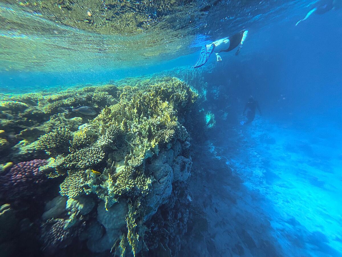 TUI Live Erleben-Tour: Hurghada