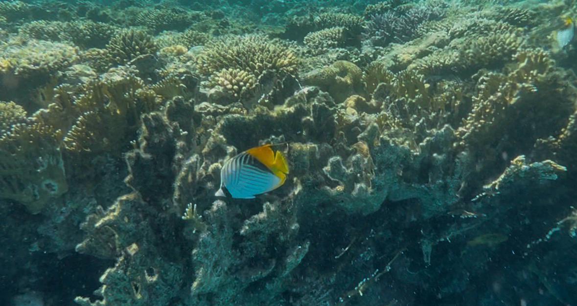 TUI Live Erleben-Tour: Hurghada