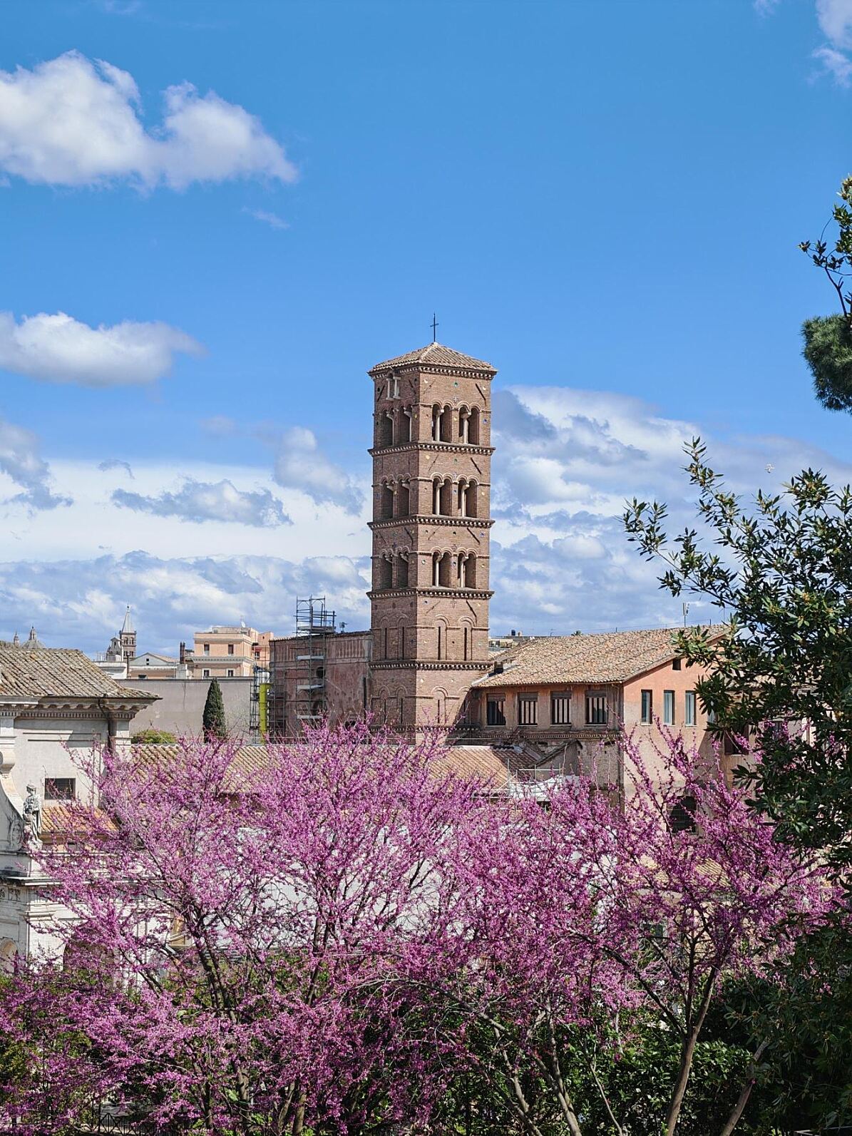 TUI Live Erleben-Tour: One Night in Rome