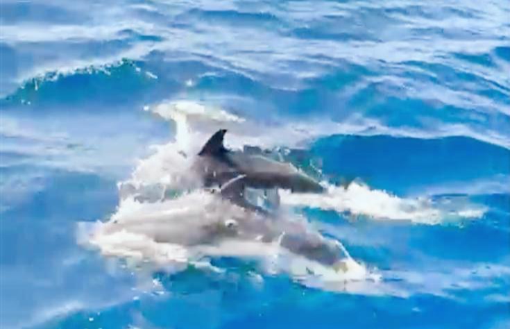 TUI Live Erleben: Fuerteventura und Gran Canaria