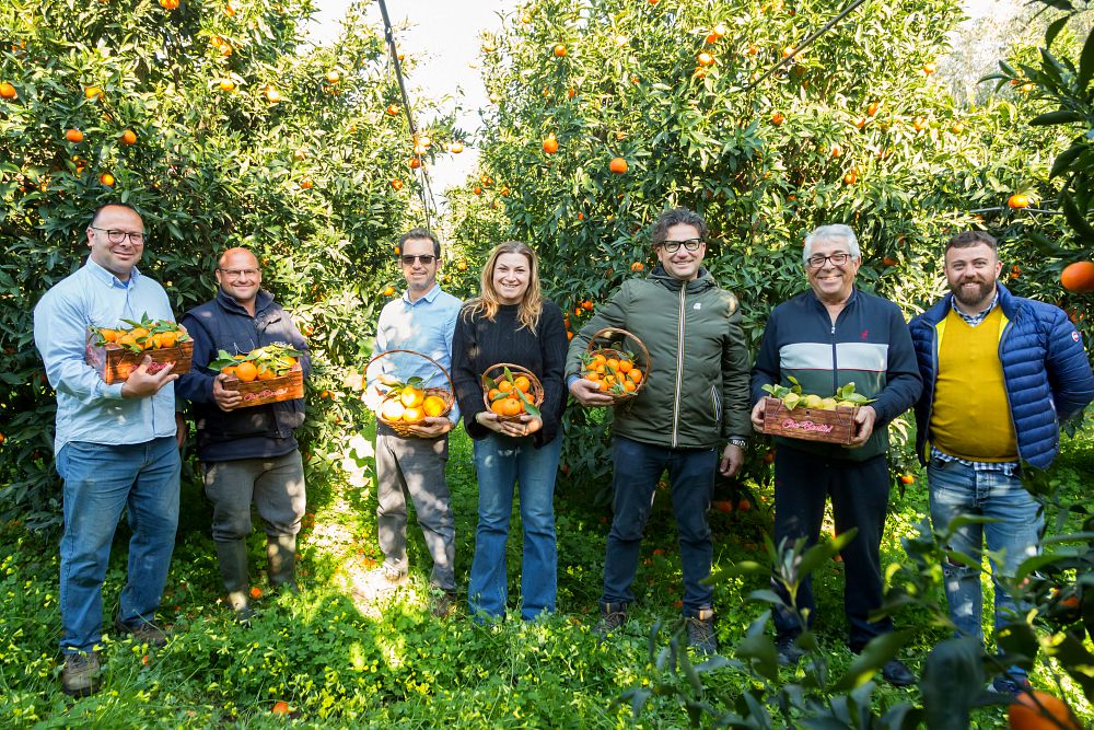 TUI Field to Fork Puglia: Zitrusbäuerinnen und Zitrusbauern werden in nachhaltigen und regenerativen Praktiken geschult. 