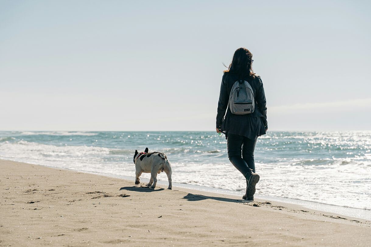 Raodtrip mit Hund: Die Top 15 hundefreundlichsten Länder in Europa