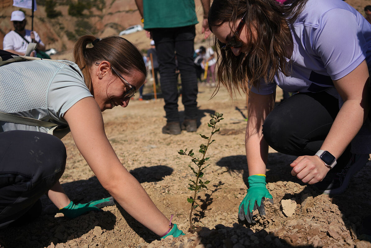 TUI Forest Navarra - Collaborating on the ground to reforest