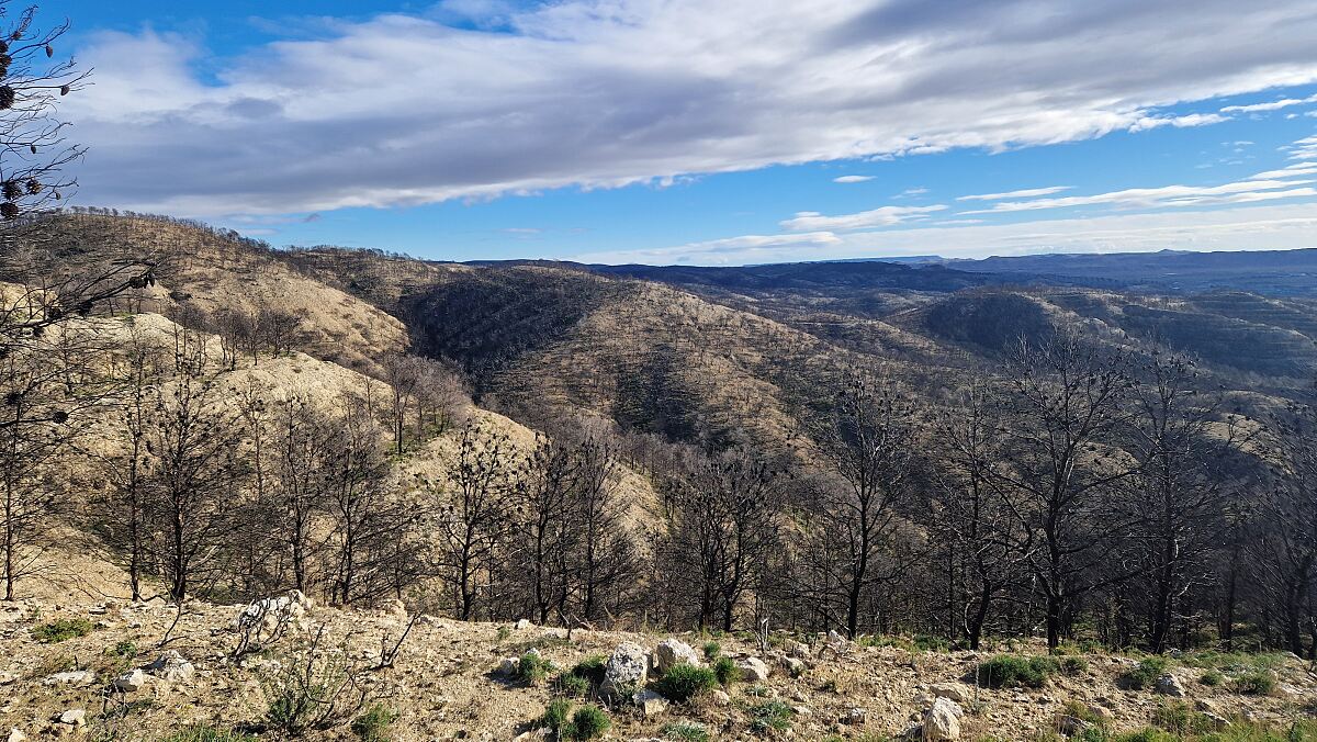 TUI Forest Navarra - View of Arguedas in 2023 after the fire
