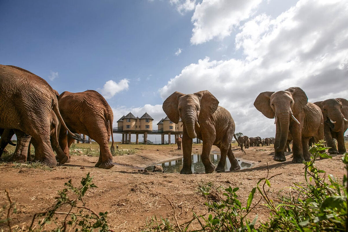 Zweitätige Safari in Kenia