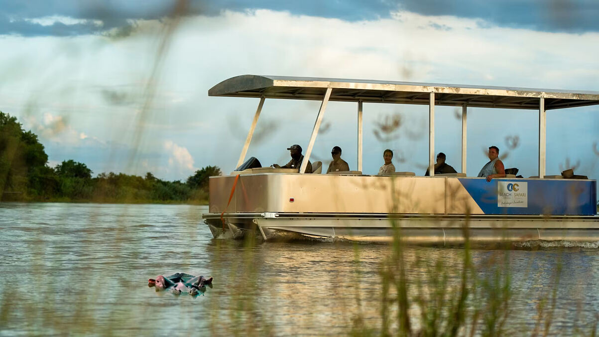 Zweitägige Safari im Nyerere-Nationalpark mit Buschwanderung und Bootsfahrt