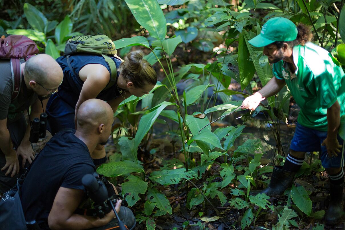 TUI Wildlife Costa Rica - Guided tour