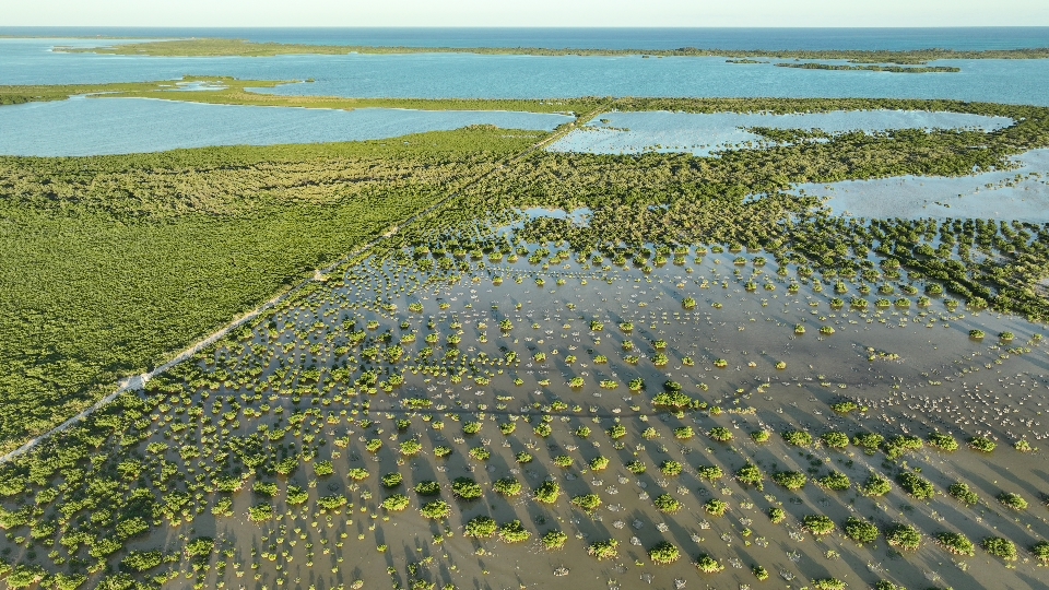TUI Wildlife Mexico - Überblick über das Projektgebiet im Biosphärenreservat Sian Kaan