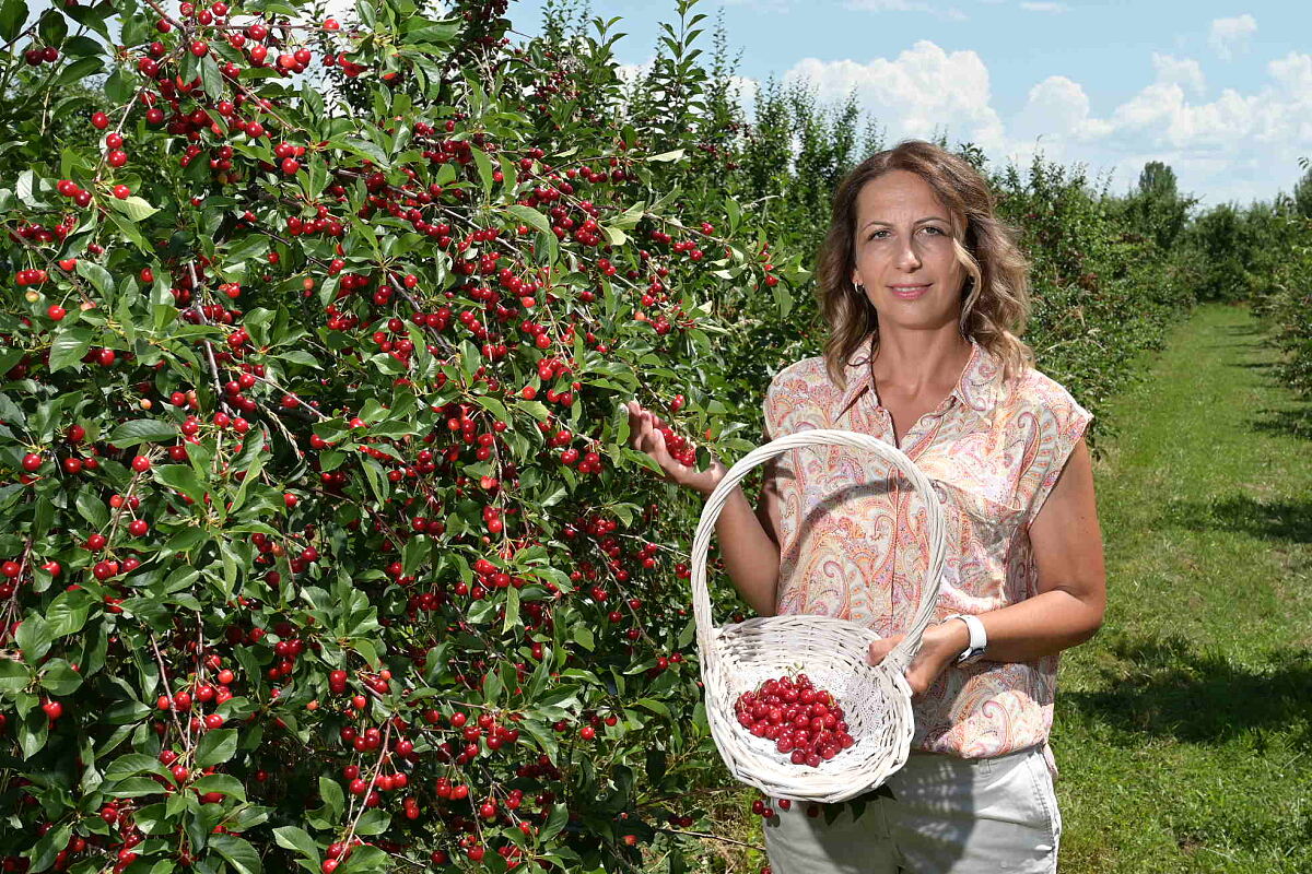 TUI Field to Fork Western Balkans - Ana Labor in her apple orchard at Spirit of Prespa, one of the particiating businesses
