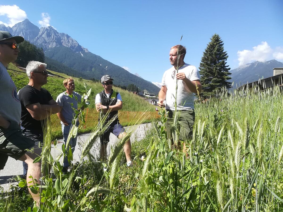 TUI Field to Fork Austria - Vorführungen für Lebensmittelproduzentinnen und -produzenten direkt auf dem Feld