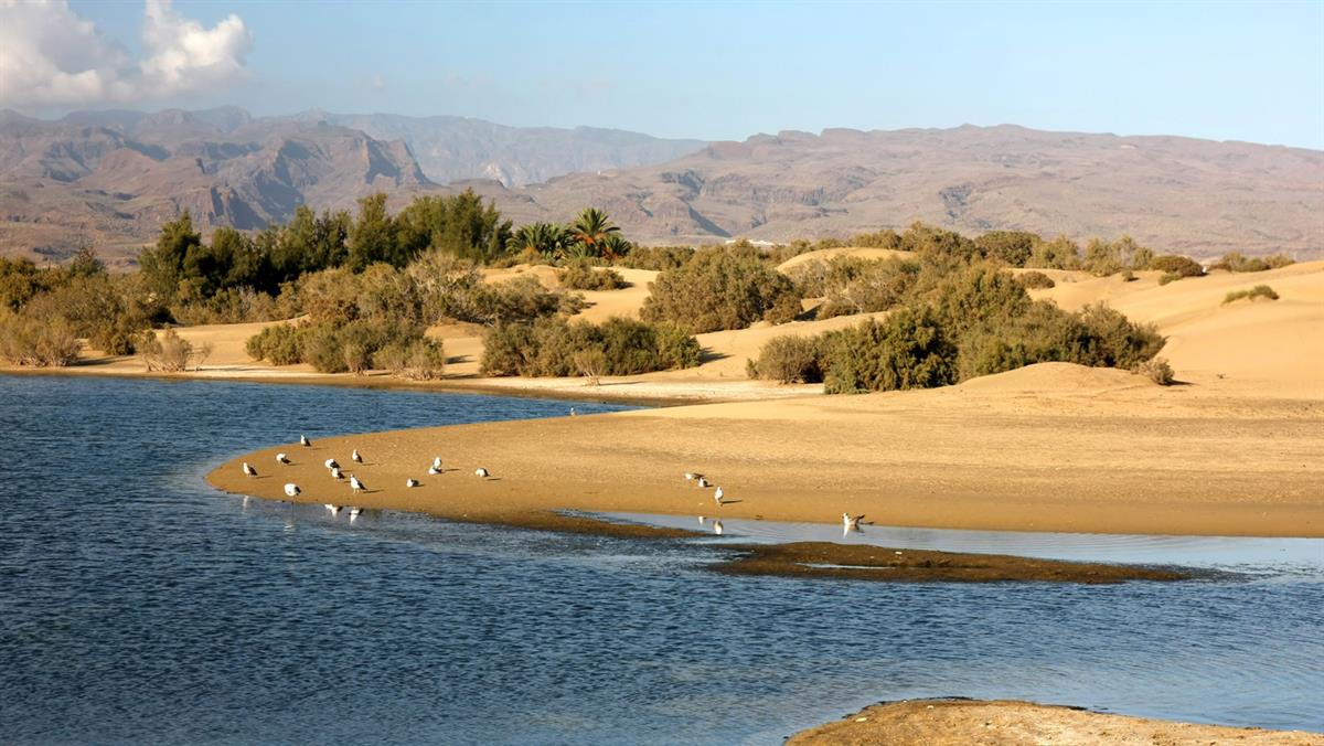 Gran Canaria schafft es in die Top 5