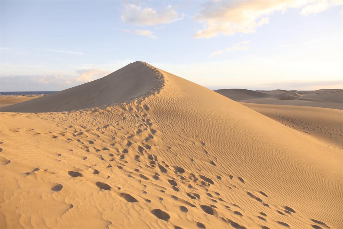 Dünen von Maspalomas