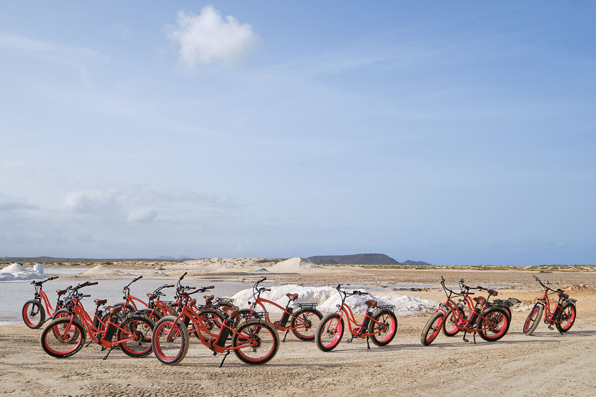 Geführte E-Bike Tour mit TUI Musement
