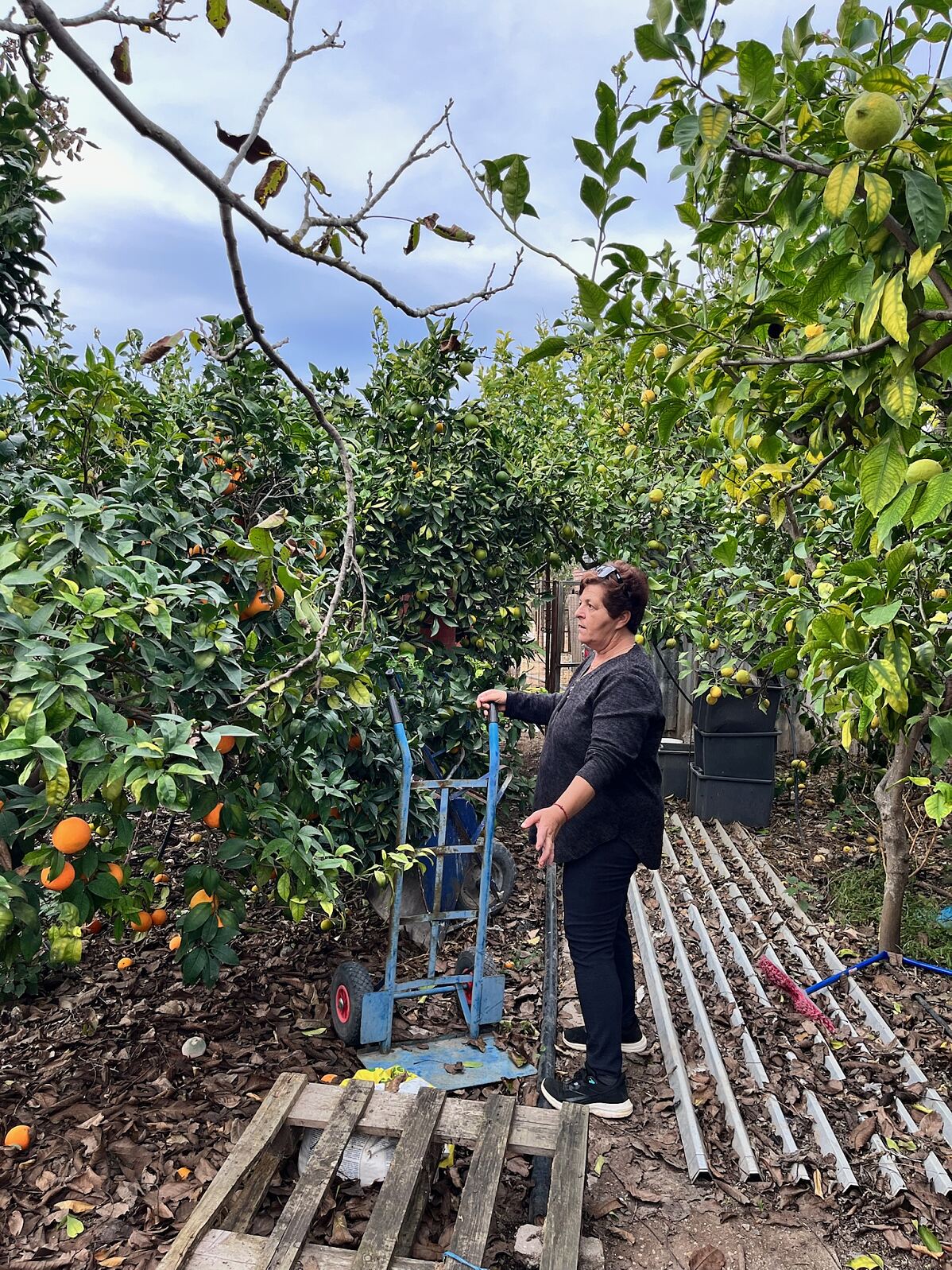 TUI Care Foundation Award: Field to Fork Greece