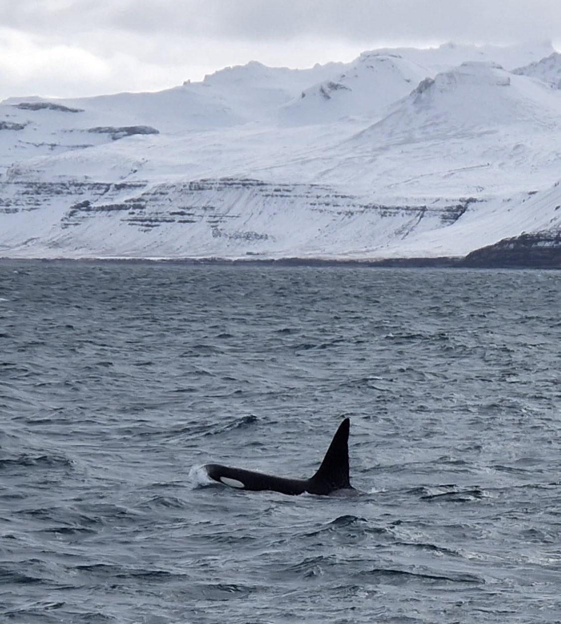 TUI LIVE erleben-Tour nach Reykjavik mit den Gewinnerinnen und Gewinnern der TUI Trainings-Challenge