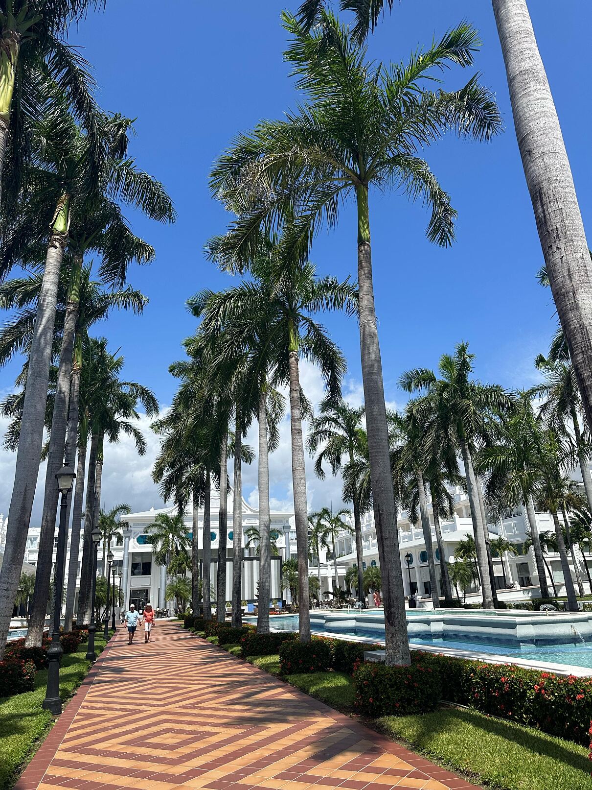 TUI LIVE erleben-Tour auf der Halbinsel Yucatán