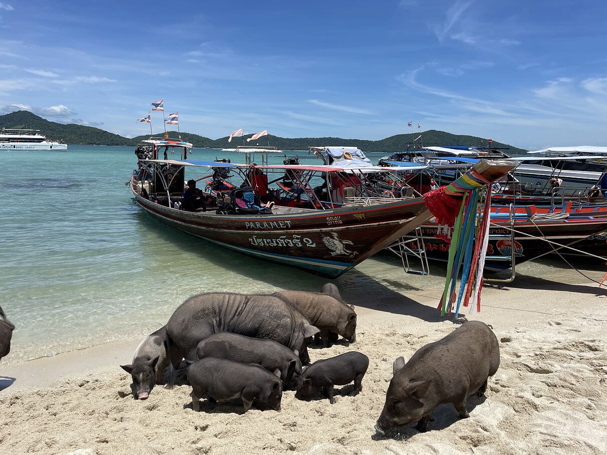 TUI Hotelmarkentour in Thailand