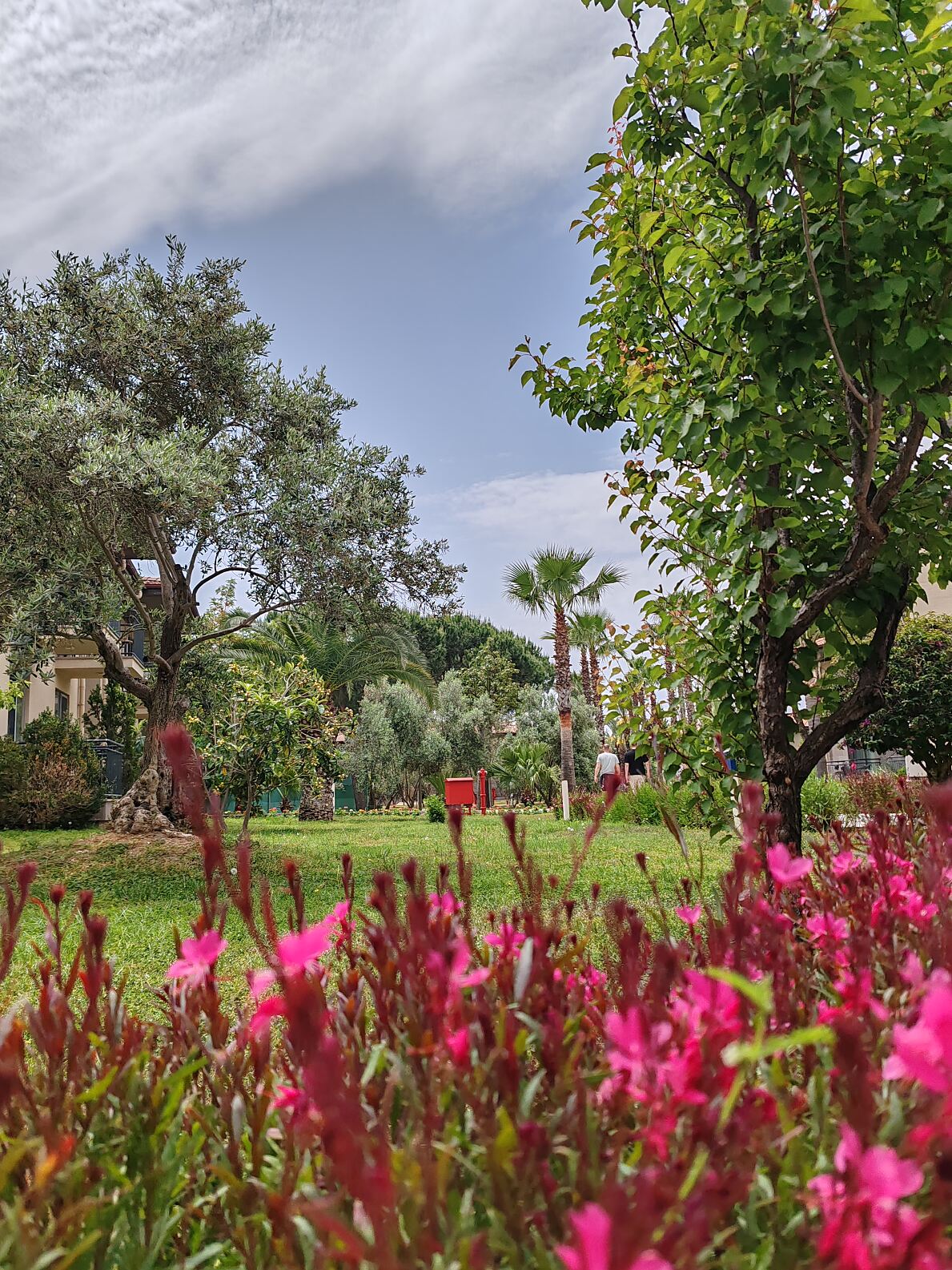 TUI LIVE Erleben Tour Antalya