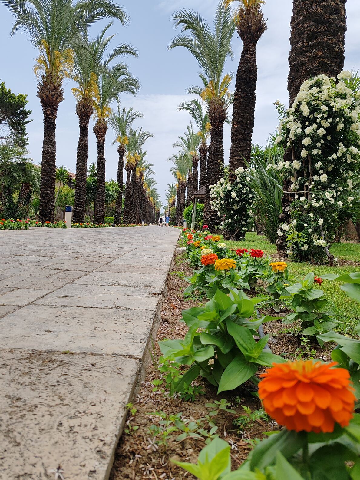 TUI LIVE Erleben Tour Antalya