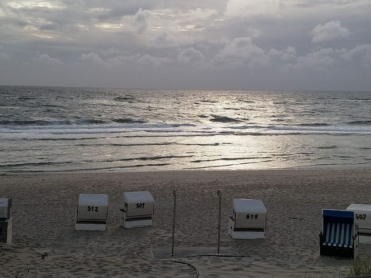 TUI LIVE Erleben-Tour Advanced auf Sylt
