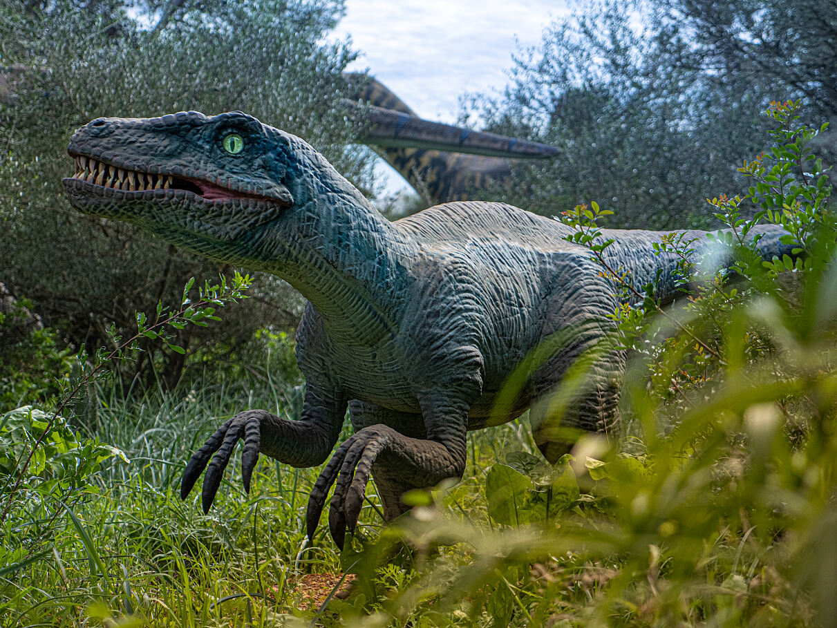 Dinosaurland auf Mallorca