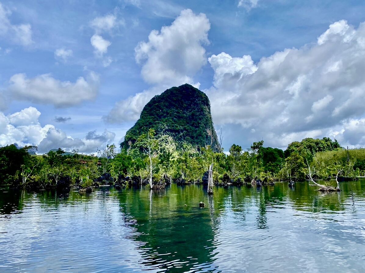 Dschungel auf Krabi 