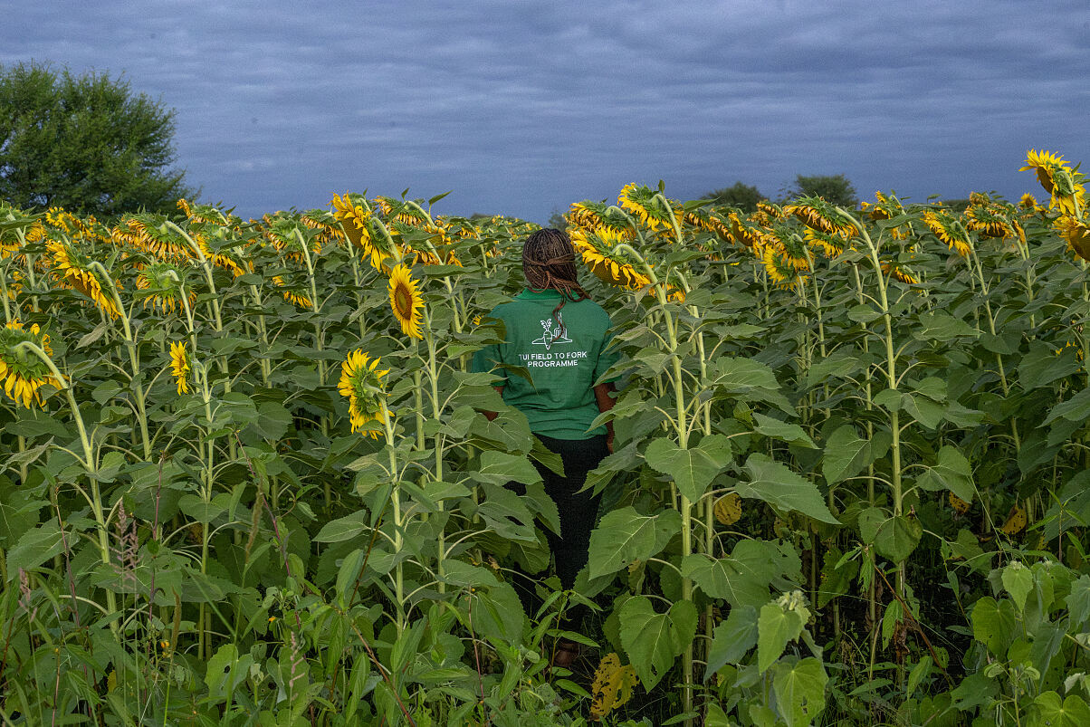 TUI Field to Fork Tanzania - on the field 3