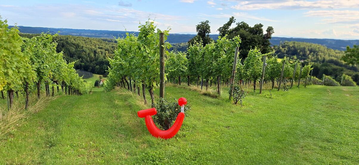 TUI Hautnah Veranstaltung in der Steiermark