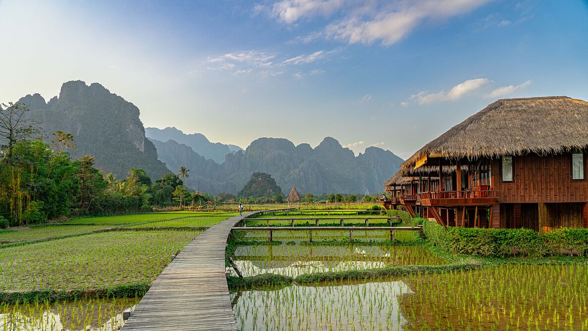 TUI Futureshapers Laos - green scenery
