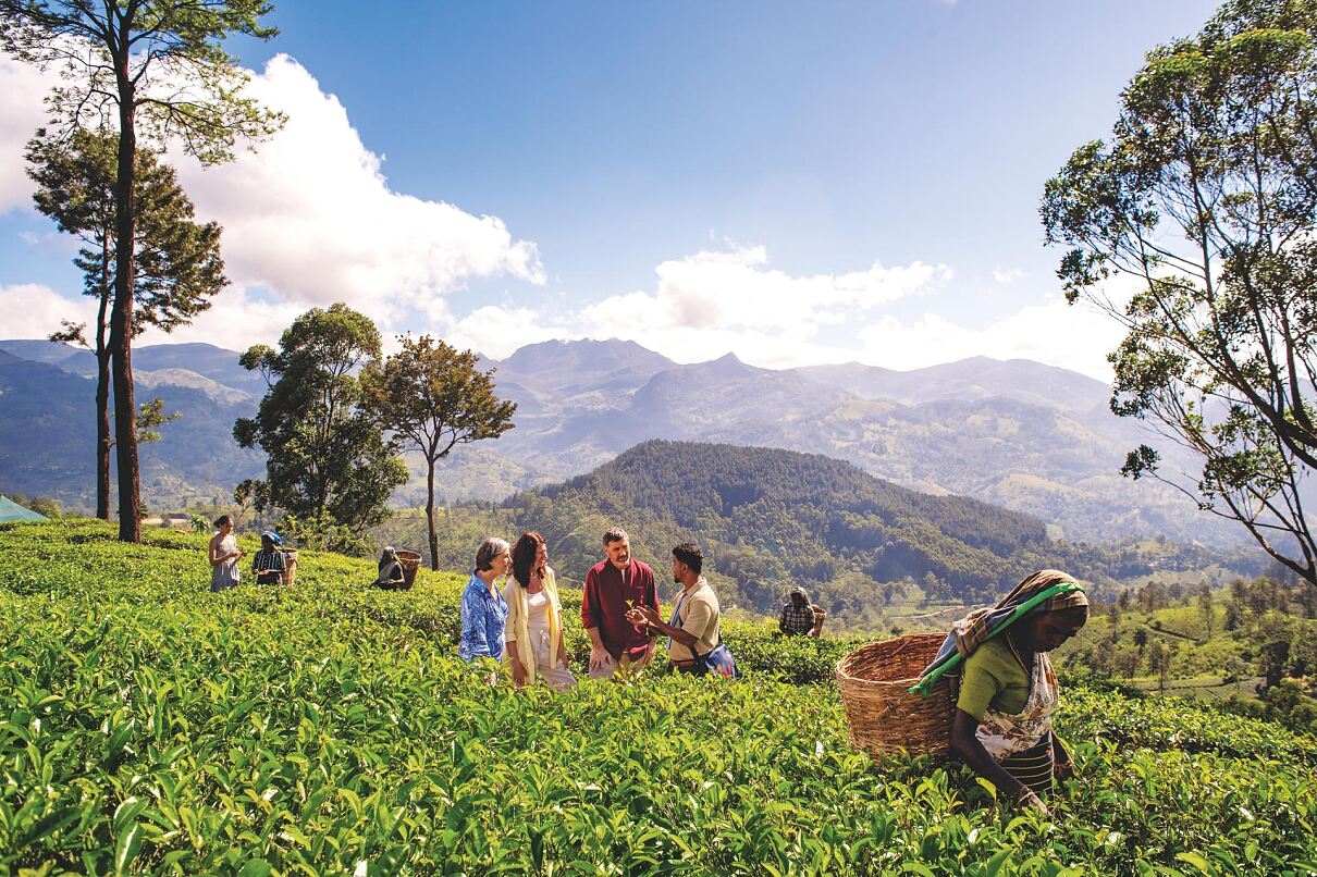 TUI tours startet mit maßgeschneiderten Rundreisen in Österreich