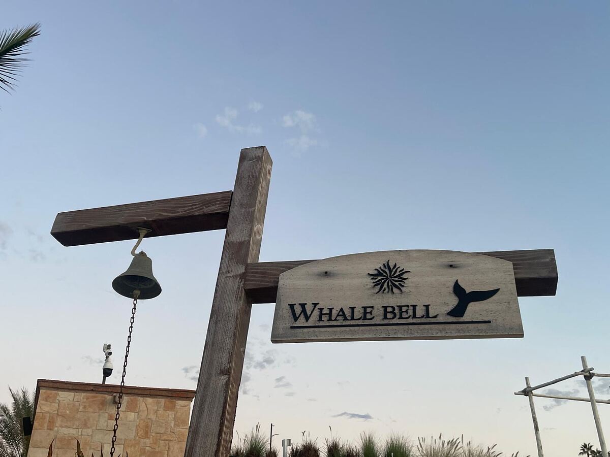 airtours Seminarreise nach Los Cabos in Mexiko