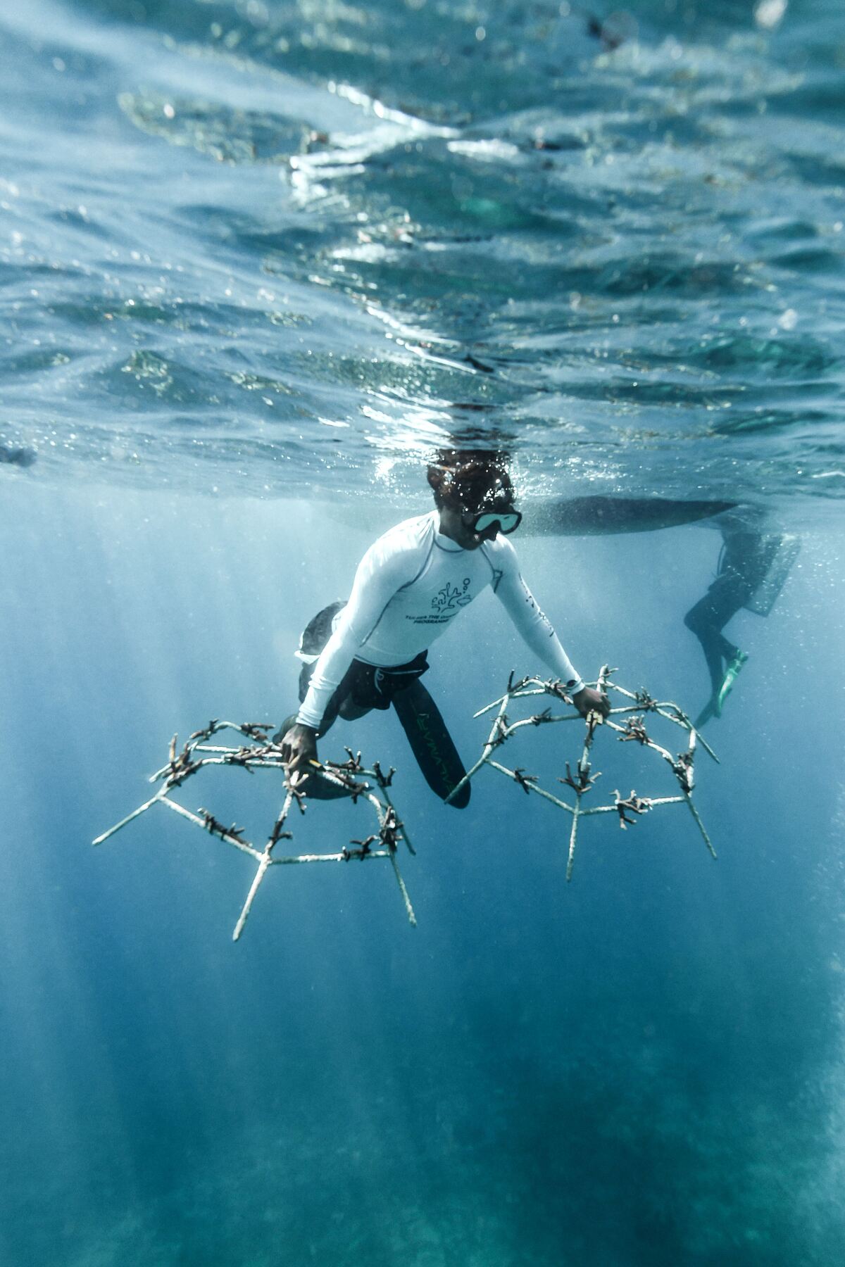 TUI Sea the Change Bali - coral planting as part of a tour experience with holidaymakers