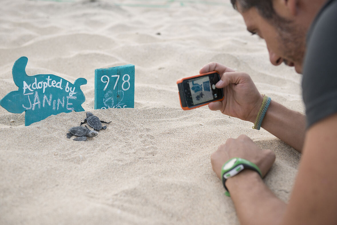 Donors make it possible for  the TUI Care Foundation to protect baby turtles in Cape Verde