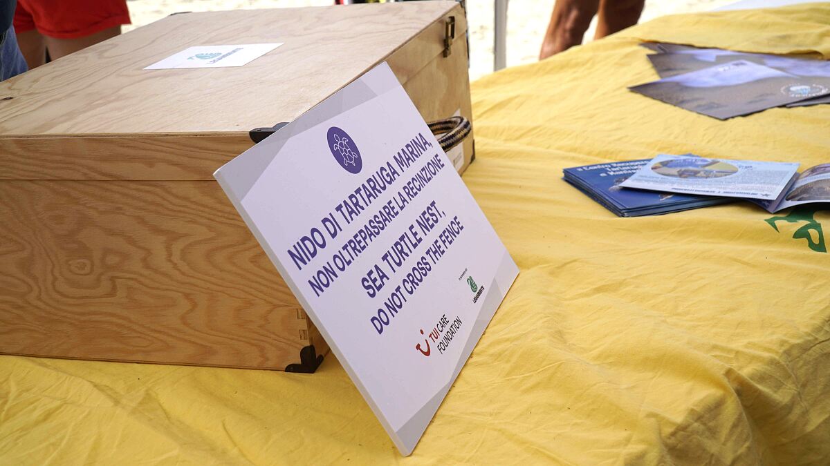 TUI Turtle Aid Italy - conservation initiatives at the beach