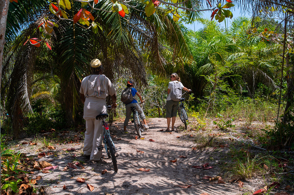 TUI Forest Zanzibar - community-based tourism like cycling routes are supported through the programme